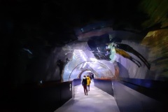 274-G-Way-through-the-looking-glass