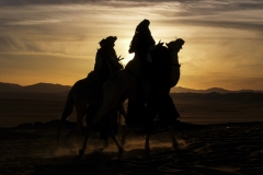 329-G-desert-transporters