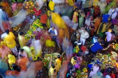 395-G-FESTIVE-MOMENT