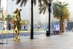 479-G-Impresje-Emiratskie-3