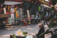486-G-Pani-Nguyen