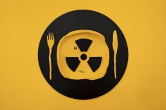547-G-no-to-nuclear