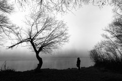 636-G-Misty-calm