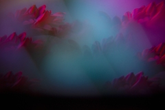 664-G_unseen1