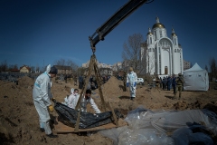 679-G-ukraine_bycha_1