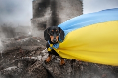 738-G-The-new-reality-is-Ukraine