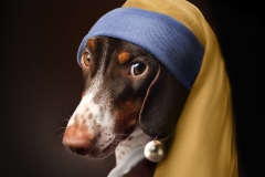 739-G-Girl-with-a-Pearl-Earring
