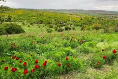 763-G-rezerwa
