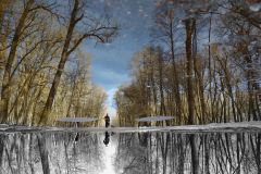 767-G_Spring-in-the-park