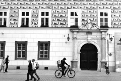 917-Kazdy-w-swojej-sprawie