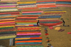 1009-G-COLOURS