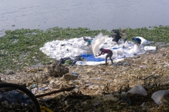 1087-G-Human-and-Environment