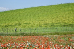 1199-G-A-za-miedza-wojna