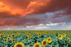 1328-G-Thunderstorm-from-Russia