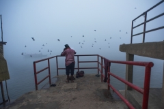 1591-G-Foggy-Morning