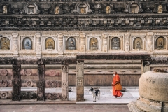 1593-G-Lonely-Monk