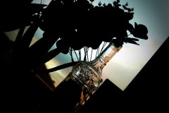 555-G-Looking-glass