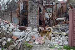 877-G-Near-the-destroyed-house