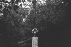 882-G-W-lesie-schowany