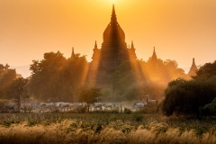 911-G-Evening-of-Bagan