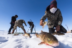 978-G-Hunting-On-Ice
