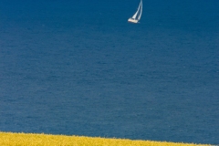 120-G-Na-Pomoc-Ukrainie