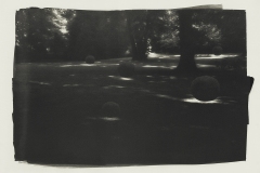285-G-Luslawickie-Arboretum-2.-Platinum-Palladium-Print