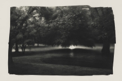 287-G-Luslawickie-Arboretum-4.-Platinum-Palladium-Print