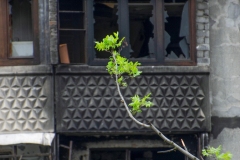 292-G-Near-the-dead-house