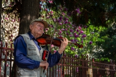 296-G-Busker