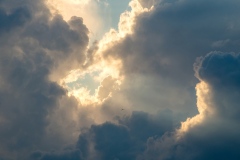 335-G-Heavenly-Light