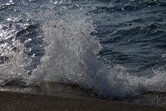 47-G-IMG_4684сm