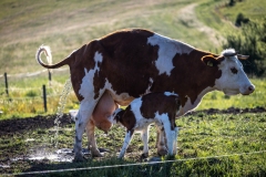 101-L-Beskidzka-codziennosc