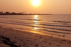 1017-G-Golden-Hour