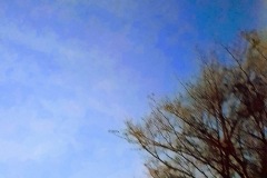 1040-G-A-Tale-of-Twilight.jpg
