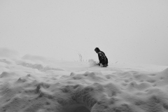 1136-G-alone