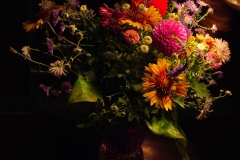 119-G-Flowers-in-the-evening-light