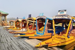1195-G-House-boat