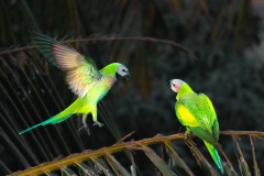 1201-G-Agitation-between-them