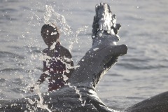 1216-G-The-Sparkles-of-an-Unexpected-Wave