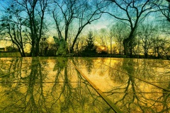1233-G_Ukrainian-summer