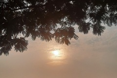 1313-G-Sunset