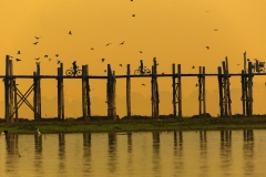 1325-G-Daily-Lifes