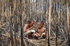 1356-G-Survivors-of-the-fire