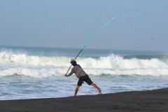 1393-G-bait-swing