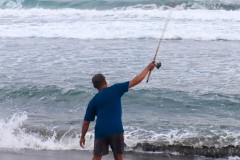 1395-G-bait-swing-swing