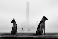 1456-G-Misty-Morning-Whispers