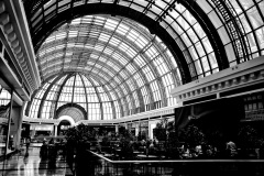 1459-G-Black-and-white-moments