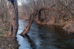 149-G-Wading-the-river