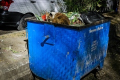 1508-G-Homelessness